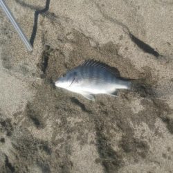 小さいけど何とか1枚